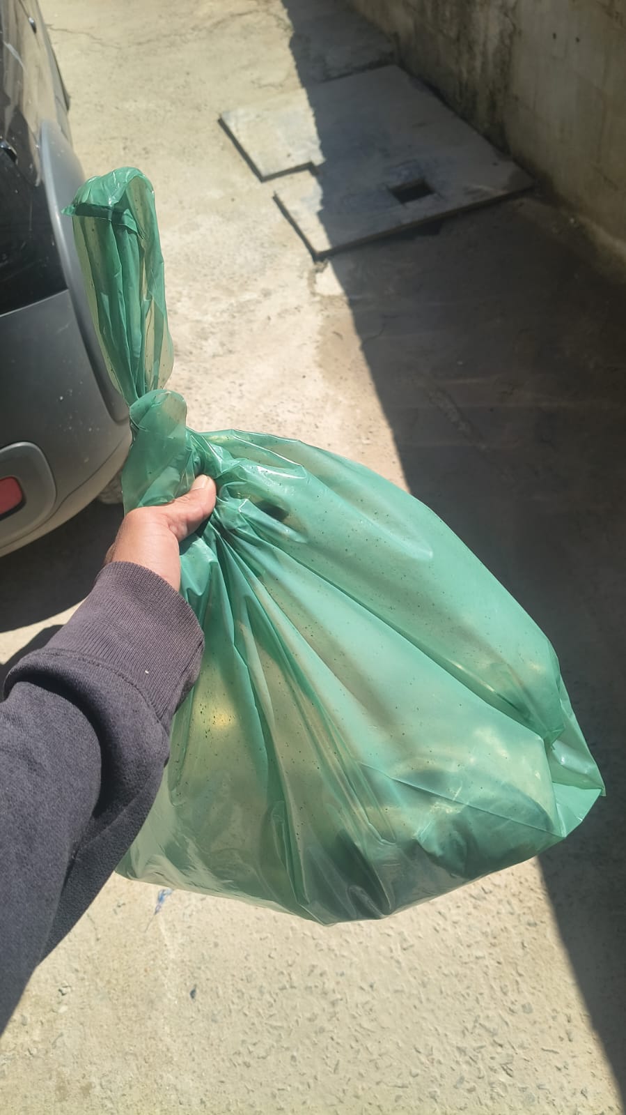Entrega de compras de supermercado
